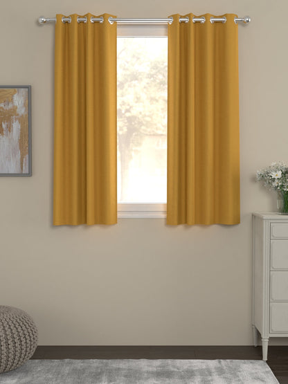 Mustard / Window / 2