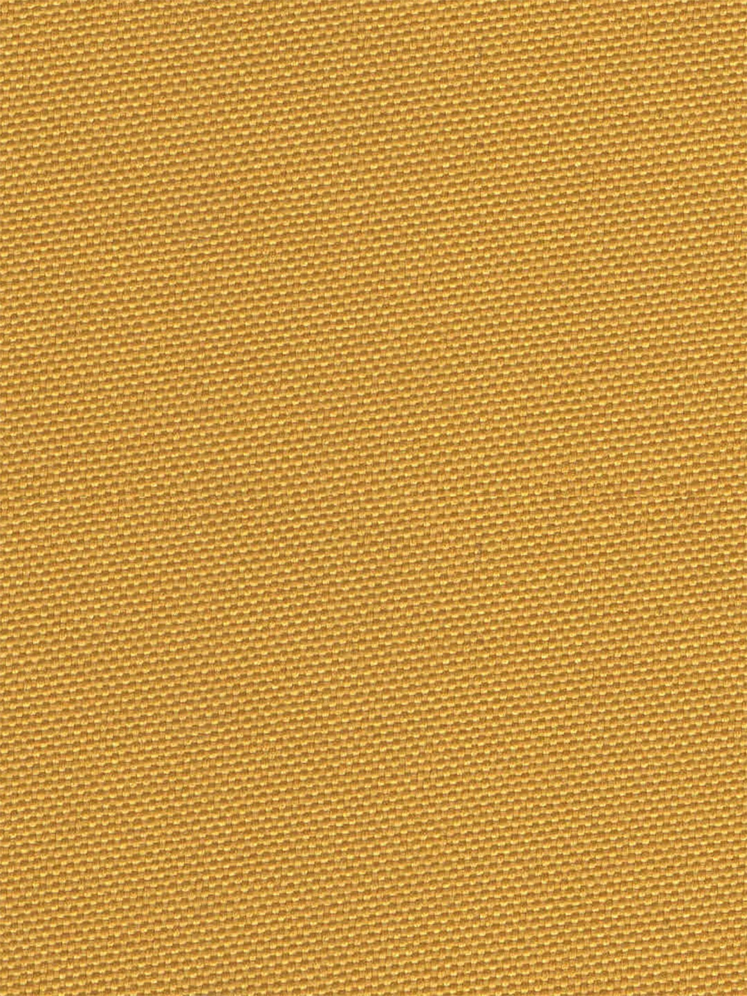Mustard::Gold / Window